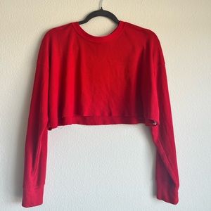 Forever 21 cropped + red Sweater